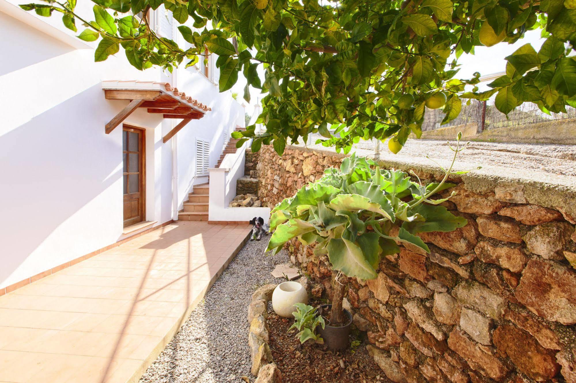 Apartamentos Colomar 산타 에우랄리아 데 리오 외부 사진